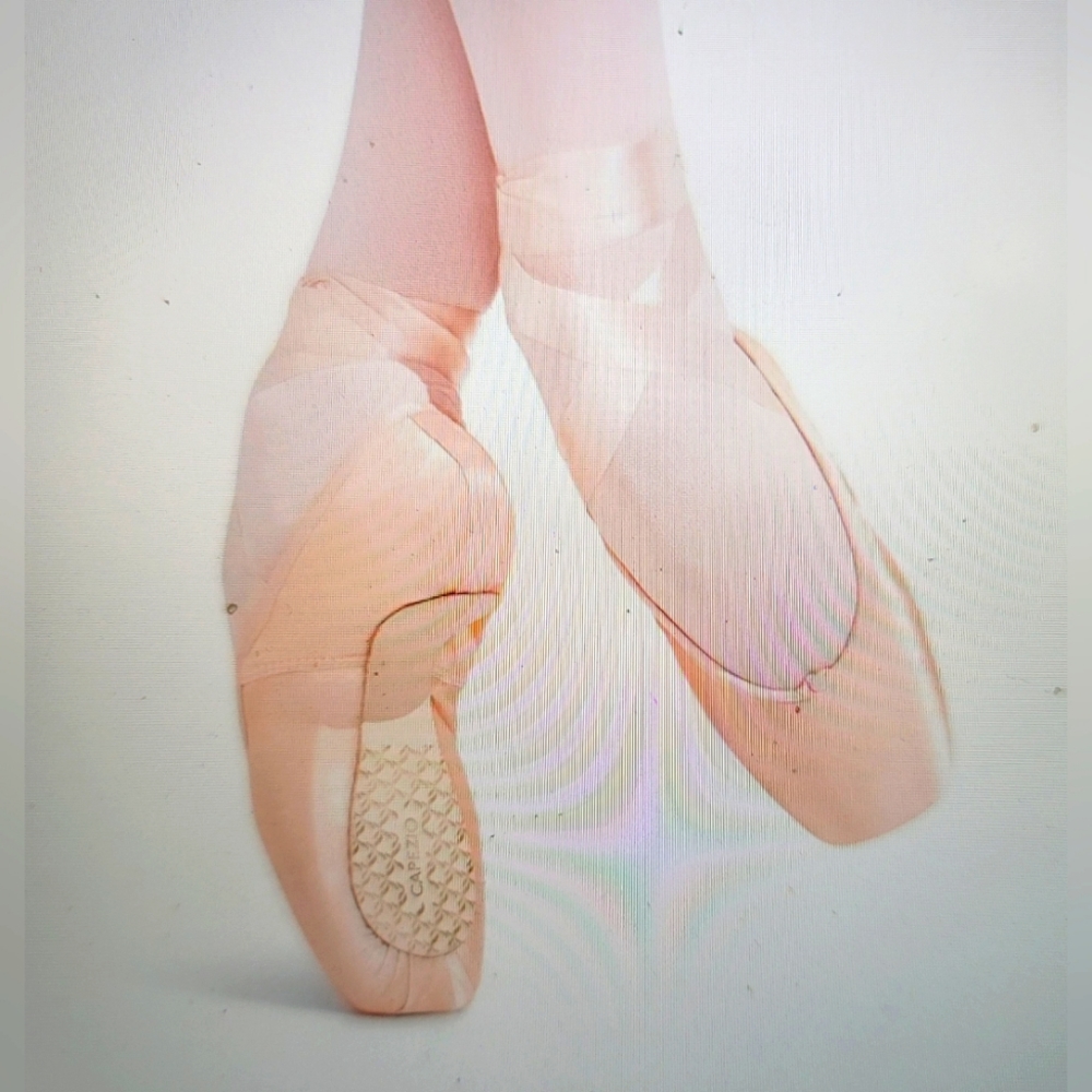 NEW CAPEZIO POINTE SHOE 176